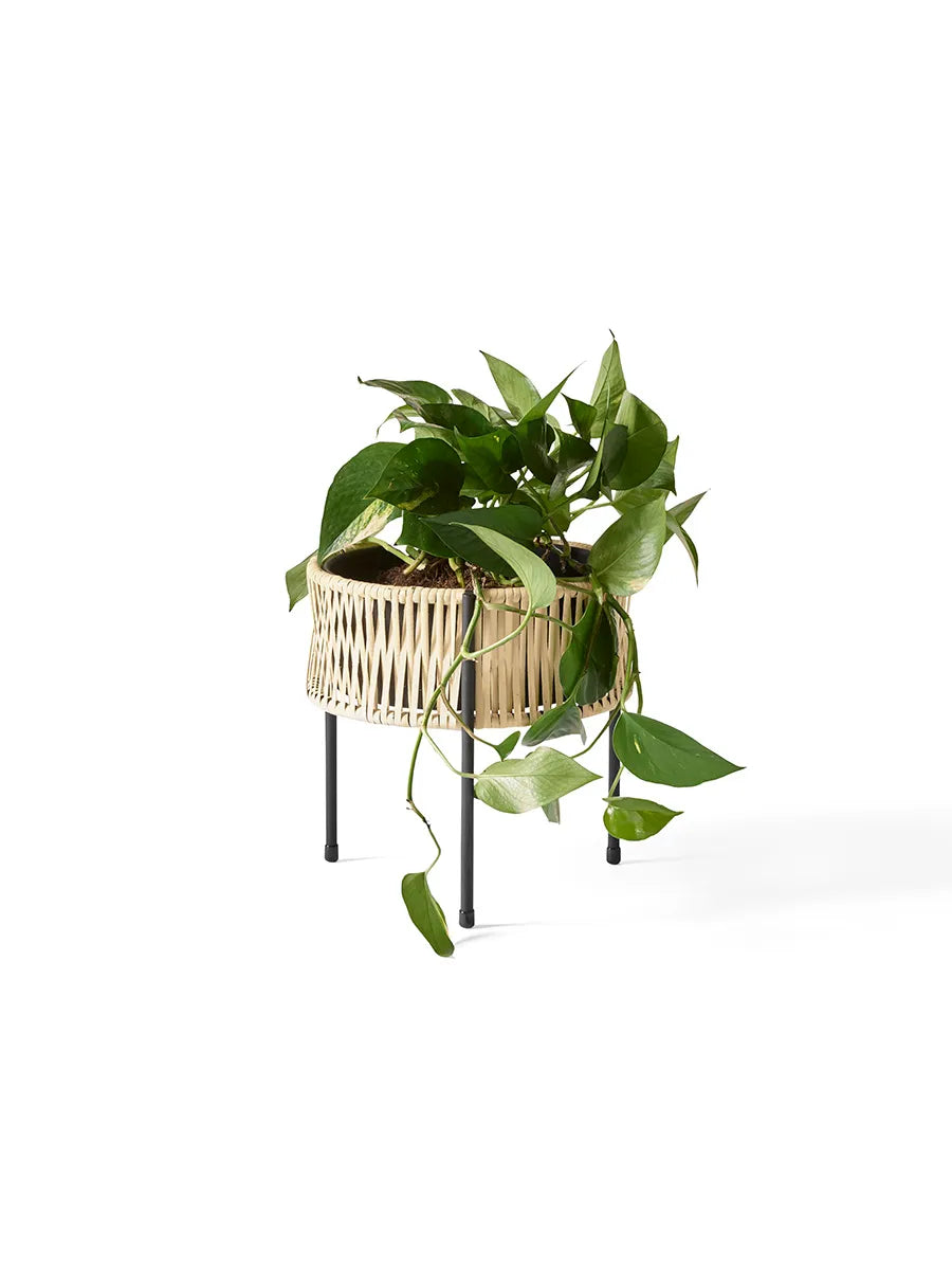 Umanoff Planter 27 från Audo Copenhagen - 7 - Jacobsen Plus