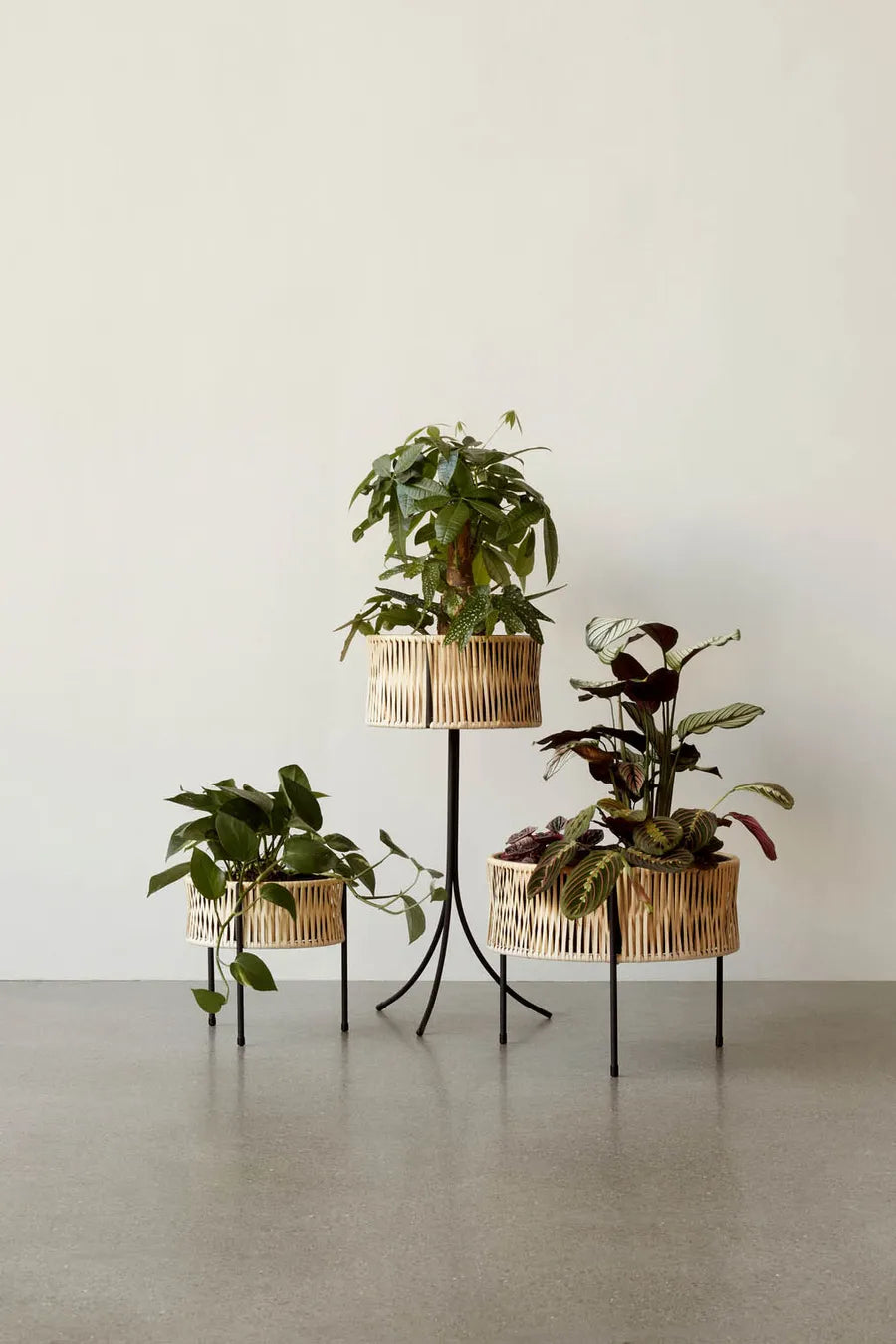Umanoff Planter 69 från Audo Copenhagen - 4 - Jacobsen Plus