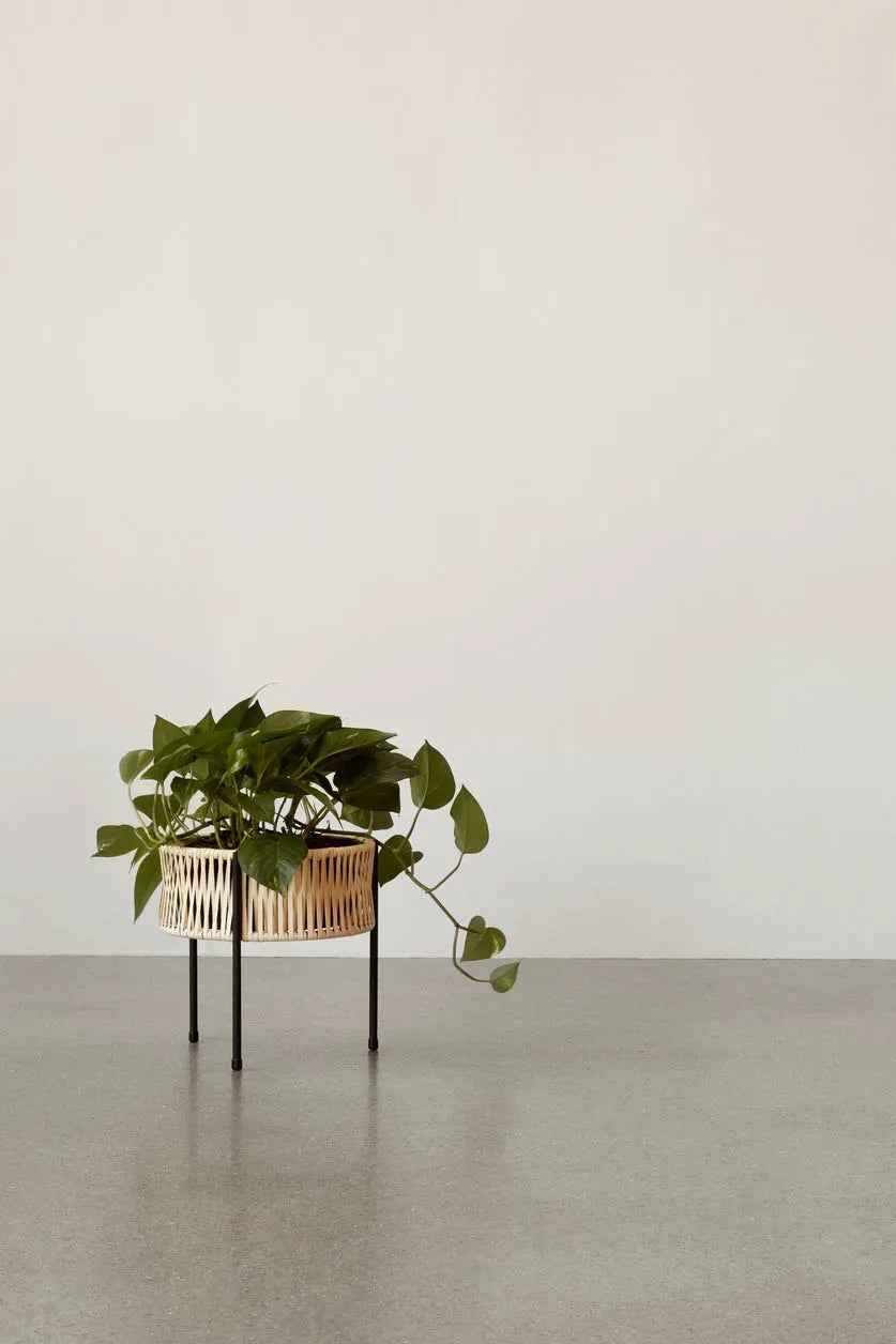 Umanoff Planter 27 från Audo Copenhagen - 3 - Jacobsen Plus