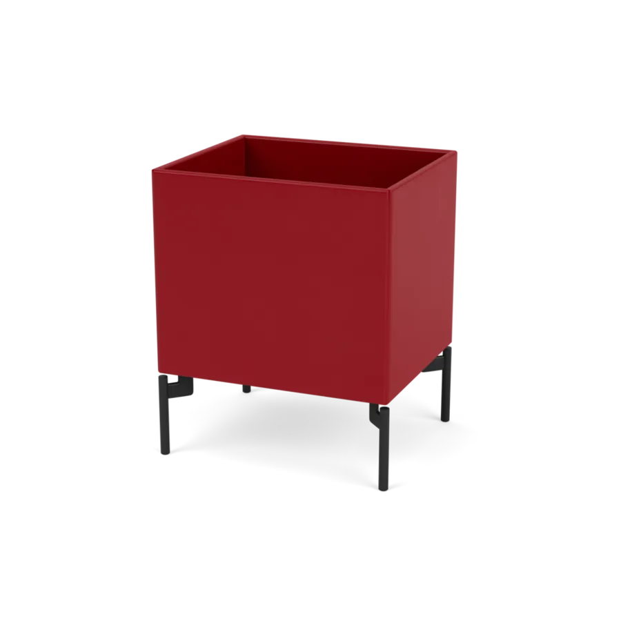 - Beetroot / Black - Jacobsen Plus