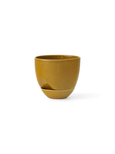 Hydrous Planter, ockra i Ø 12 cm från Audo Copenhagen - 4 - Jacobsen Plus