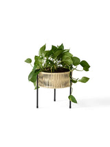 Umanoff Planter 27 från Audo Copenhagen - 8 - Jacobsen Plus