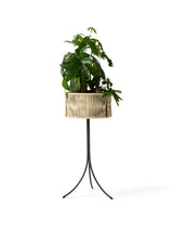 Umanoff Planter 69 från Audo Copenhagen - 6 - Jacobsen Plus