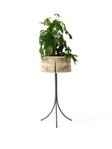 Umanoff Planter 69 från Audo Copenhagen - 5 - Jacobsen Plus
