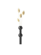  - 12 - Jacobsen Plus
