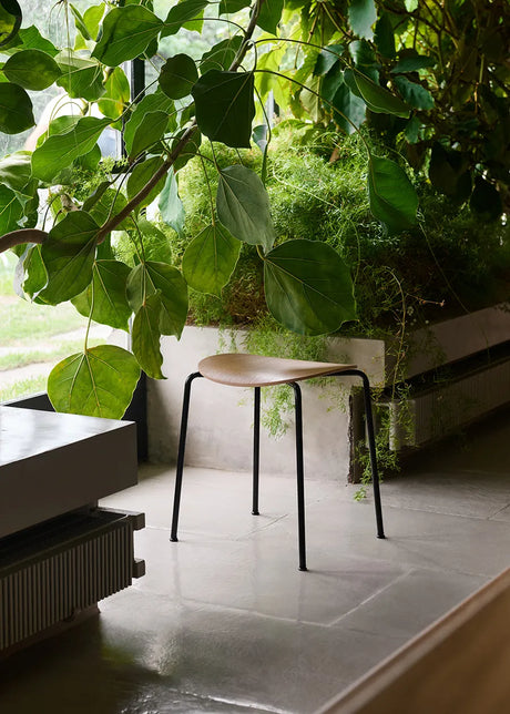 Pavilion Stool AV36 från &Tradition - Sortlakeret eg - Jacobsen Plus