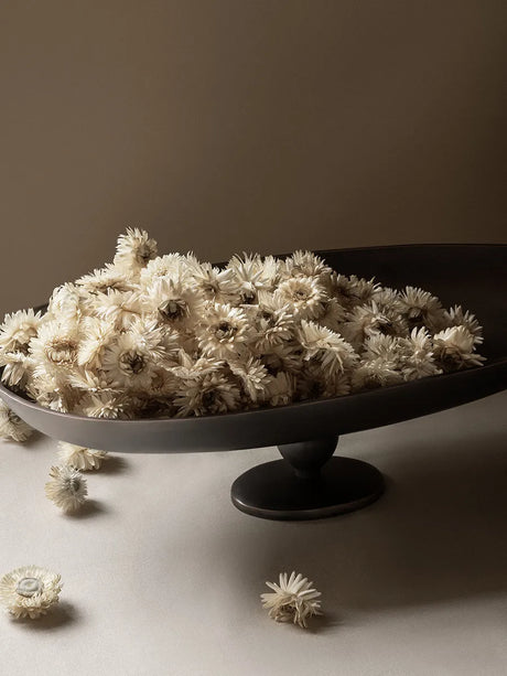 Pavot Centerpiece från Audo Copenhagen - 2 - Jacobsen Plus