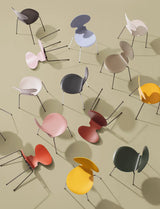 3101 Myren Stol i färgad ask av Arne Jacobsen - 11 - Jacobsen Plus