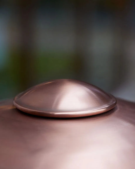 HL410 Utomhusvägglampa från Fritz Hansen - 3 - Jacobsen Plus