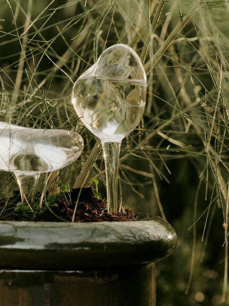 Mercury Water Globe Small, bevattningskulor, 2-pack, transparent från Ferm Living - 2 - Jacobsen Plus