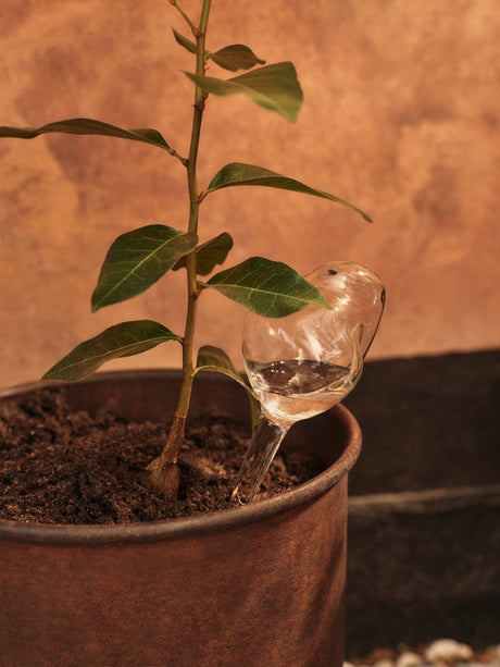 Mercury Water Globe, bevattningskulor, 2-pack, transparent från Ferm Living - 2 - Jacobsen Plus