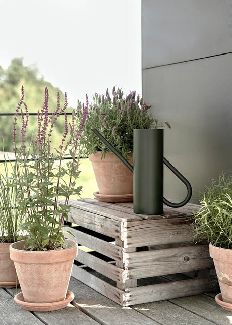 Bloom vattenkanna, 2 l från Stelton - 2 - Jacobsen Plus