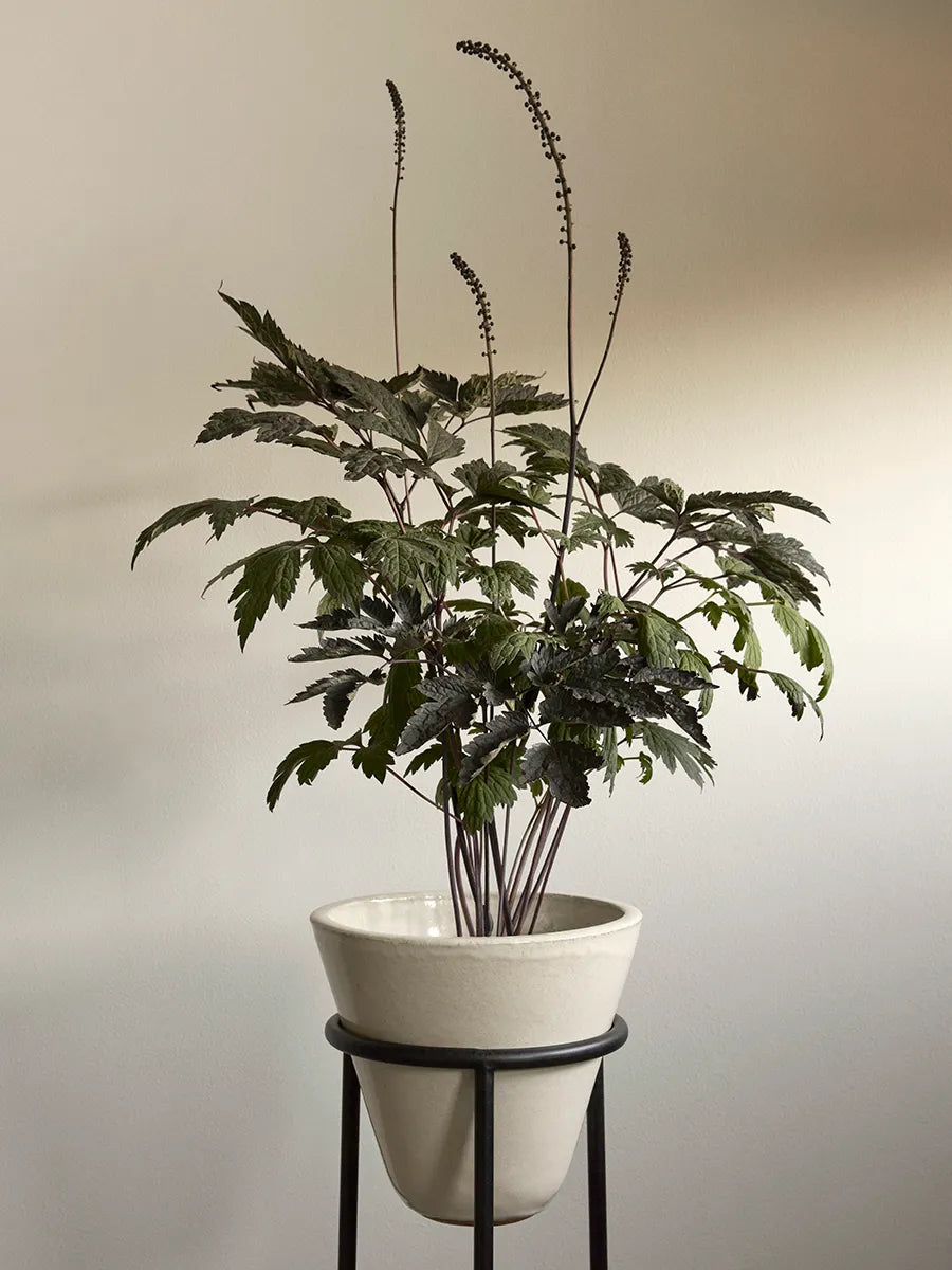 Daiza Planters från Audo Copenhagen - 4 - Jacobsen Plus