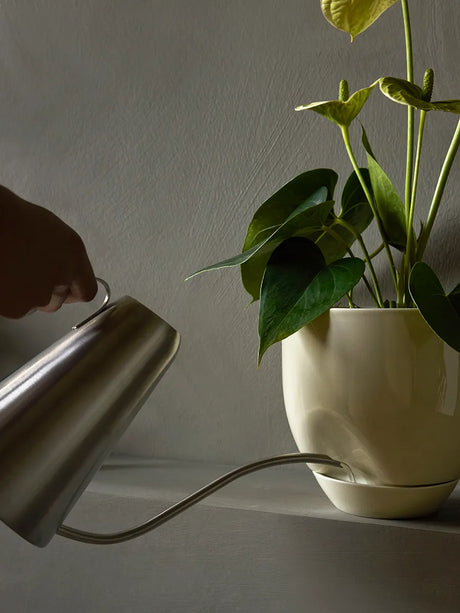 Hydrous Planteringskruka, askgrå i Ø 20 cm från Audo Copenhagen - 4 - Jacobsen Plus