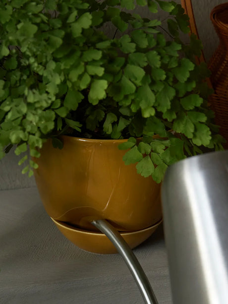 Hydrous Planter, ockra i Ø 12 cm från Audo Copenhagen - 3 - Jacobsen Plus