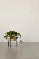 Umanoff Planter 27 från Audo Copenhagen - 3 - Jacobsen Plus