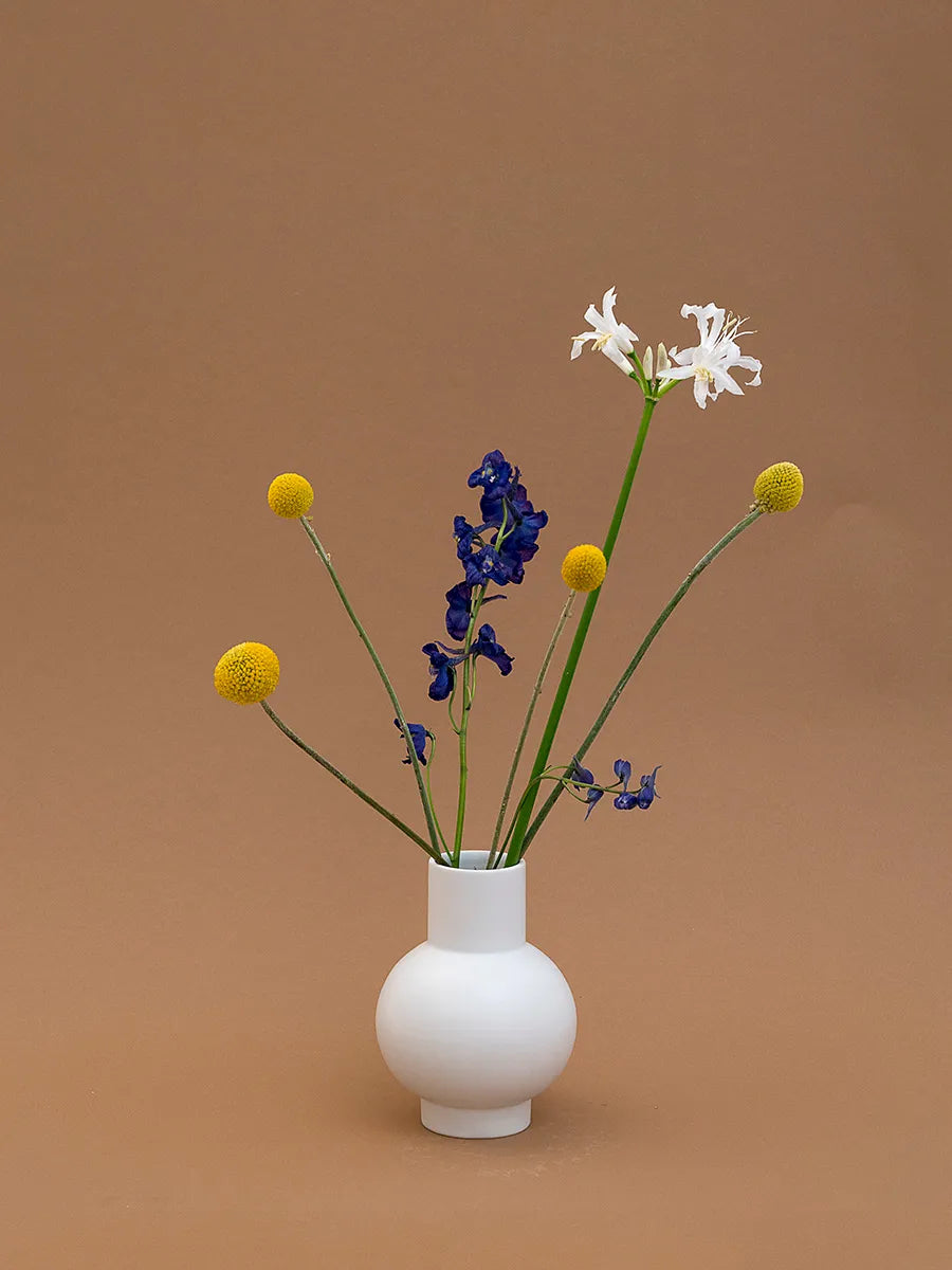  - 36 - Jacobsen Plus