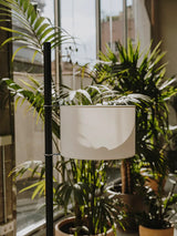 TMM Golvlampa, svart ek från Santa and Cole - 4 - Jacobsen Plus