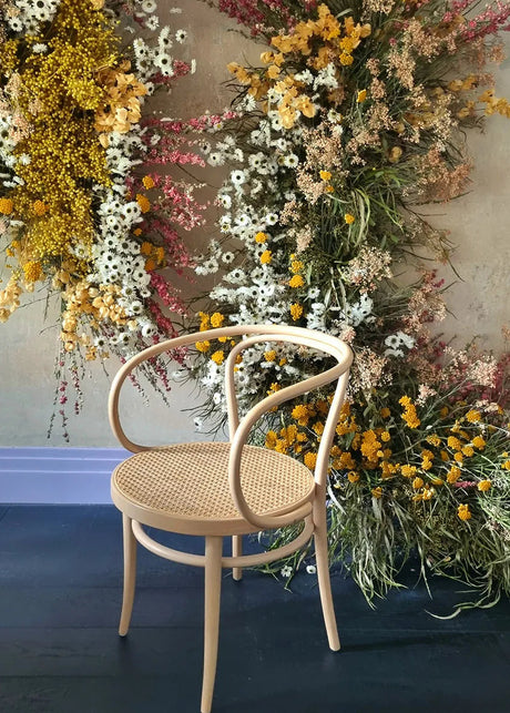 209 Armstol, bok från Thonet - 2 - Jacobsen Plus