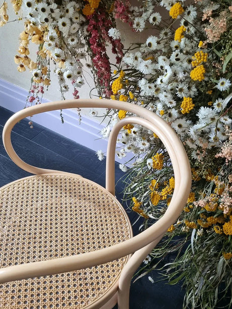 209 Armstol, bok från Thonet - 3 - Jacobsen Plus