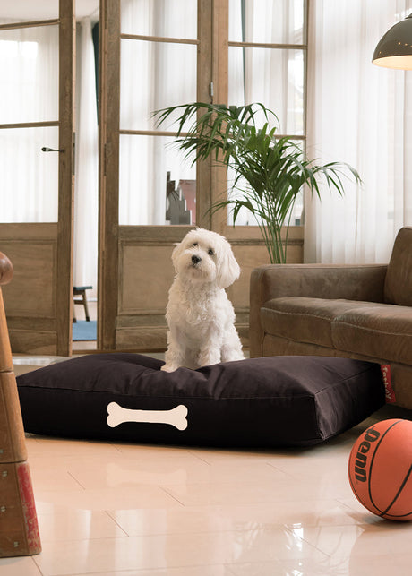 Doggielounge L Canvas Recycled - Hundbädd från Fatboy - Taupe Grey - Jacobsen Plus