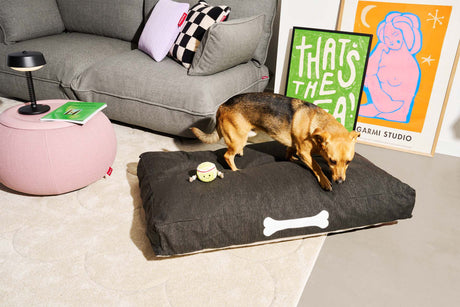 Doggielounge Olefin Large - Hundbädd från Fatboy - Mist - Jacobsen Plus